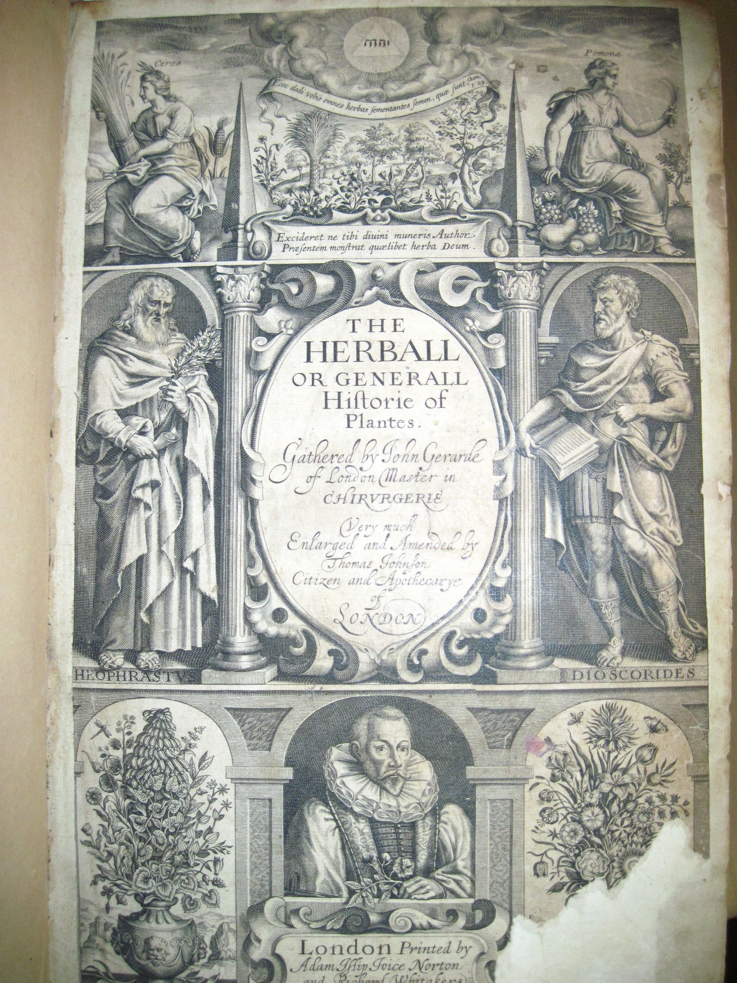 Титульный лист второго издания «Гербалия» Джона Джерарда